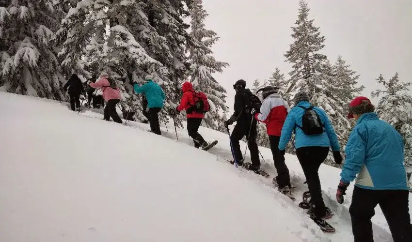 Best Tours in India-Realvisitindia