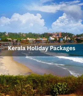 Kerala Holiday Packages - Realvisitindia