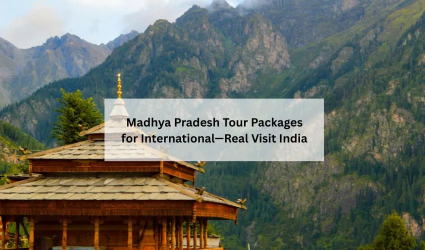 Madhya Pradesh Tour Packages for International - Real Visit India