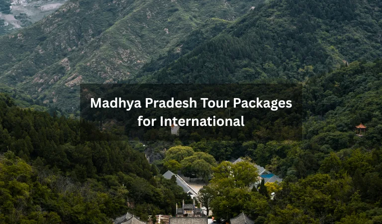 Madhya Pradesh Tour Packages for International - Realvisitindia