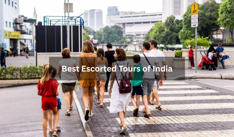 Best Escorted Tours of India - Realvisitindia