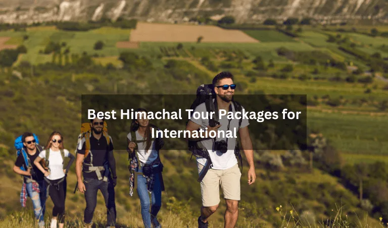 Best Himachal Tour Packages for International - Realvisitindia