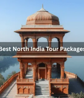 Best North India Tour Packages - Realvisitindia
