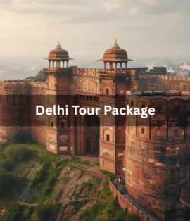 Delhi Tour Package - Realvisitindia