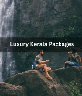 Luxury Kerala Packages - Realvisitindia